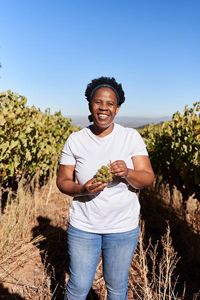 Ntsiki Harvest 2025